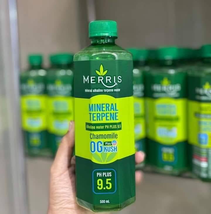 Merris น้ำด่างเพื่อสุขภาพ | Ban Na San
