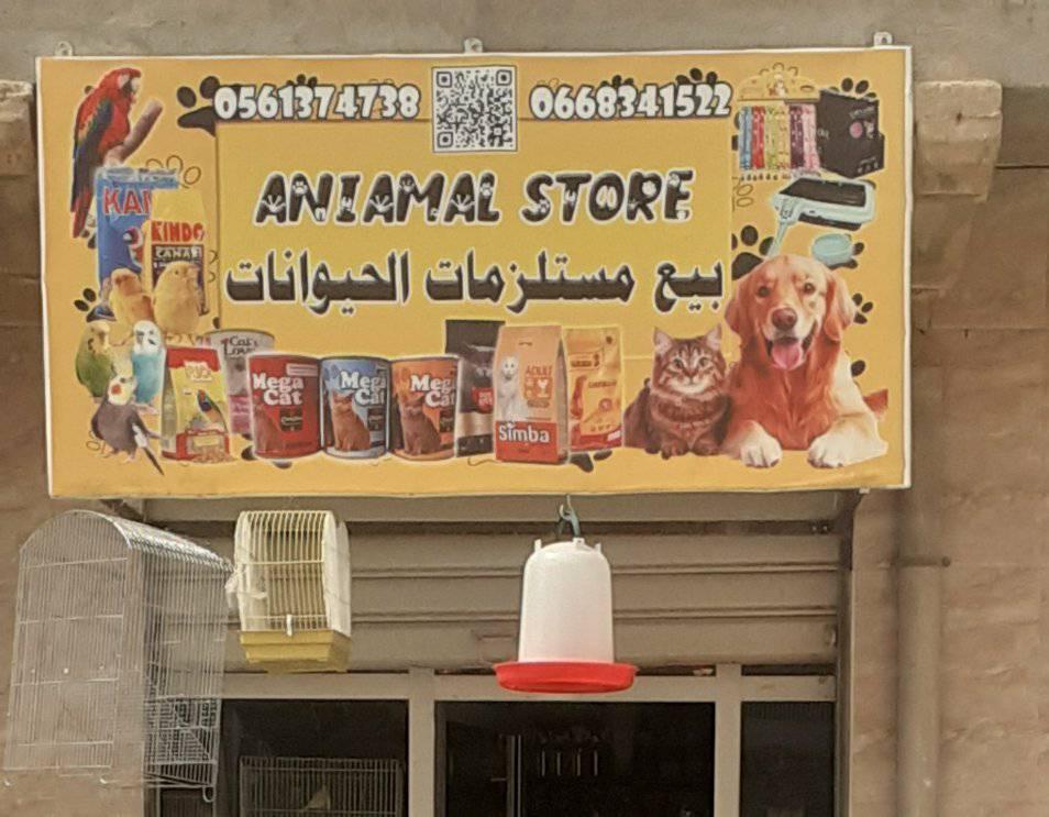 محل الطيور بن تيبة المستقبل الجلفة | Djelfa