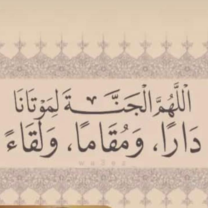 أموات المسلمين