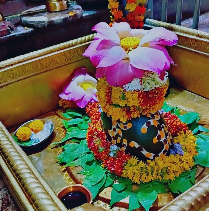 Pujari Baba Badevara Nath Dham
