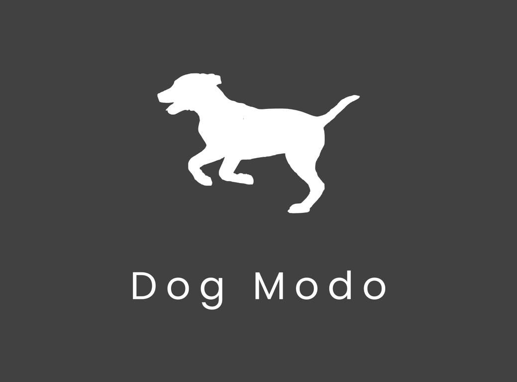 Dog Modo | Sydney NSW