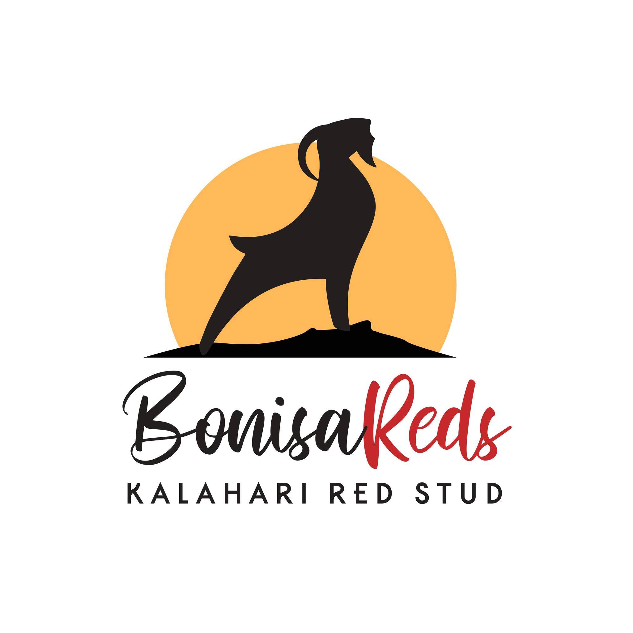Bonisa Reds
