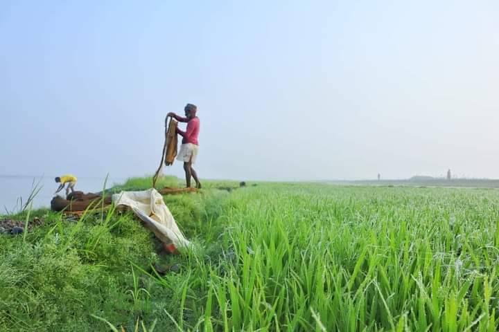 সাংবাদিক আজগার আলী