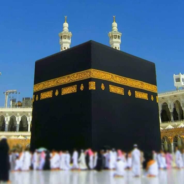 صــــــــــــنــــــــــــم م