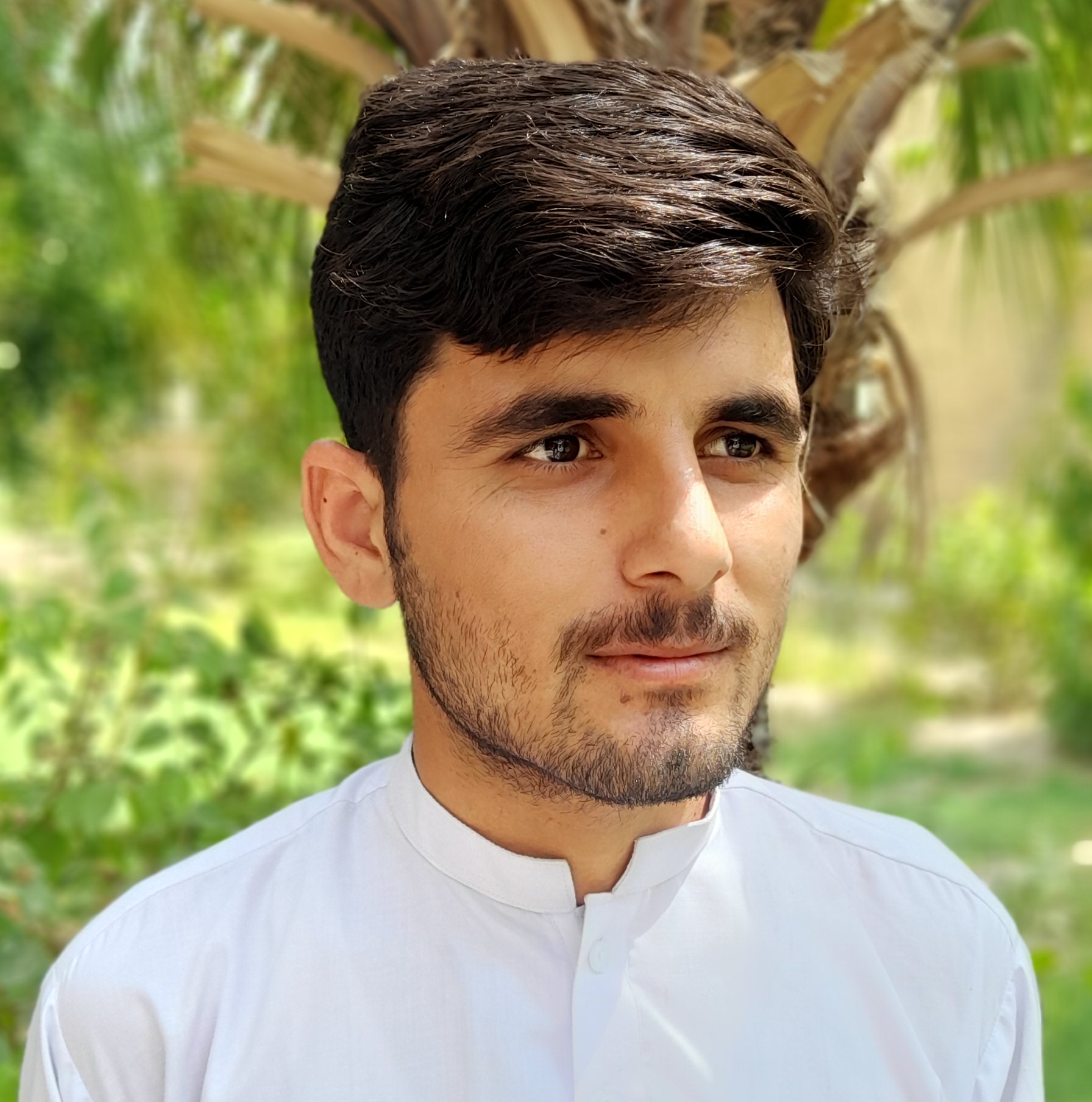 Pakhtoon Chokri