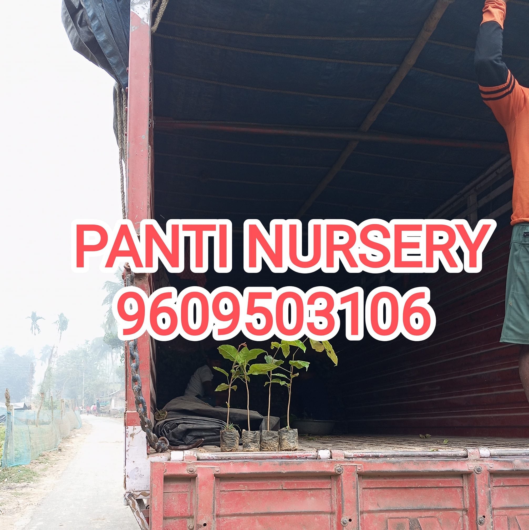 panti-nursery-ranjit-panti-haringhata