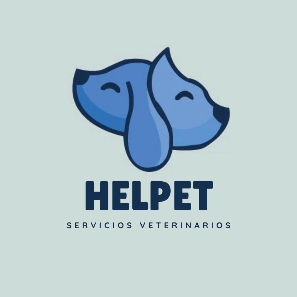 HELPET Vet | Cuenca