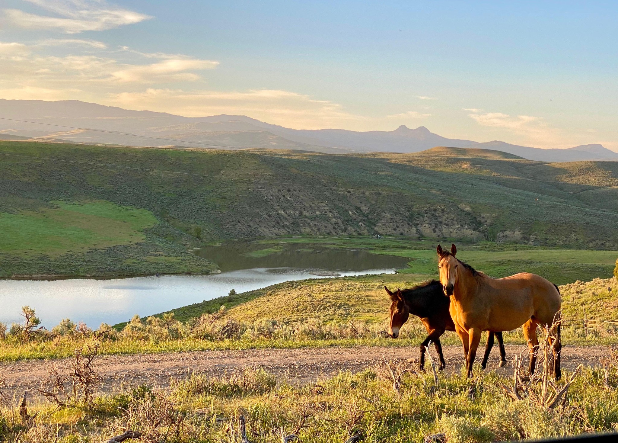Bears Ears Ranch | Hayden CO