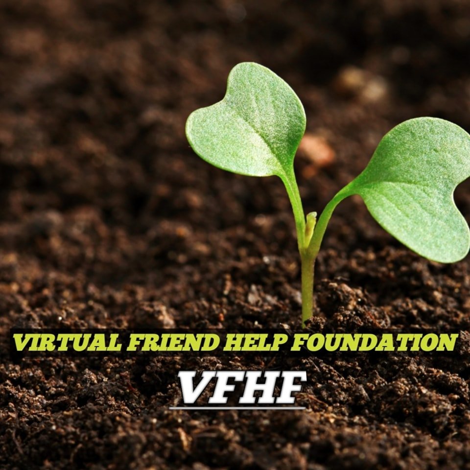 Virtual Friend Help Foundation - VFHF | Dhaka