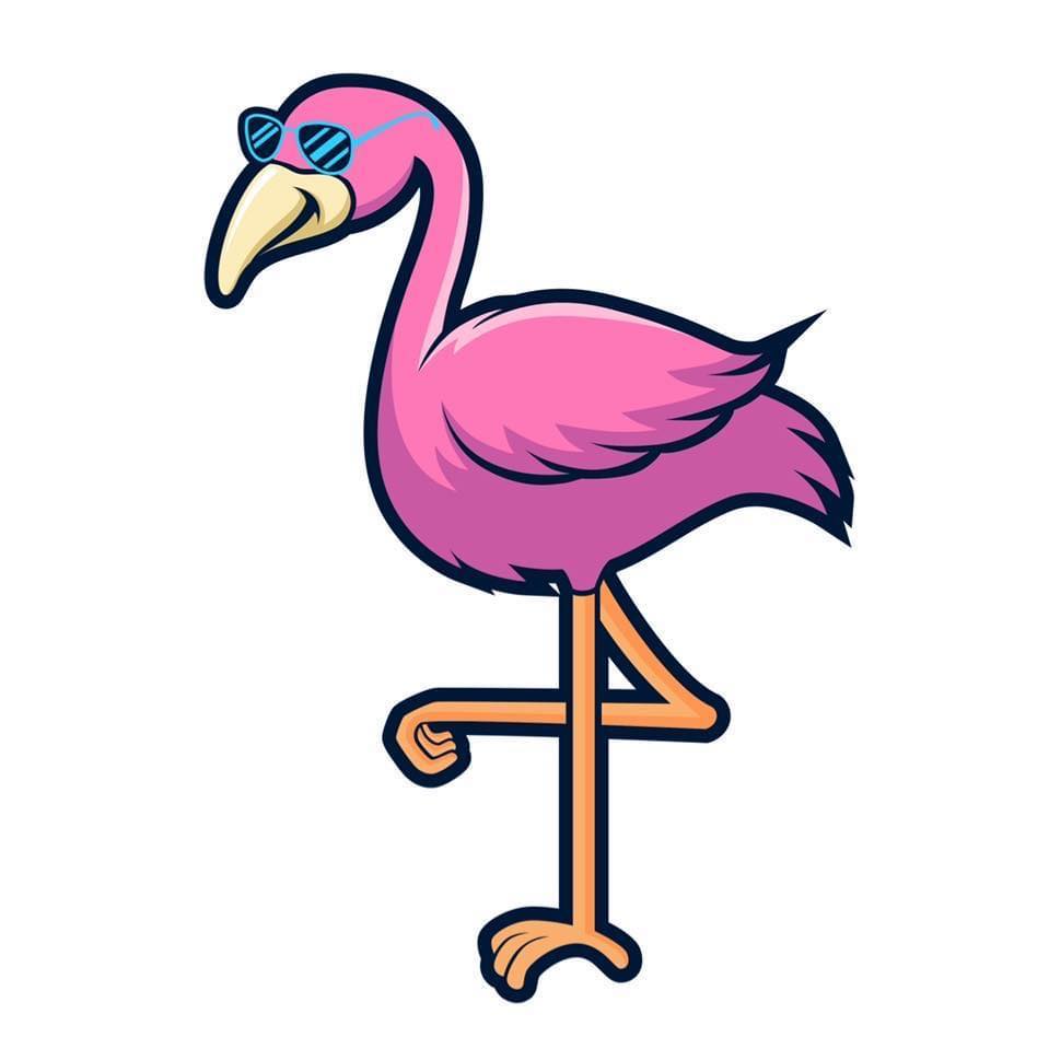 Pink Flamingo RV | Indio CA
