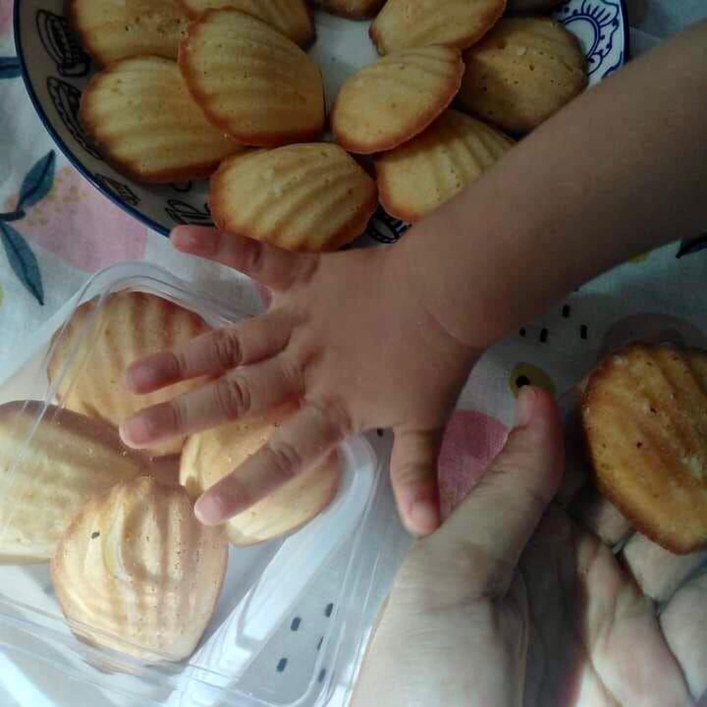 The Picky Bakery