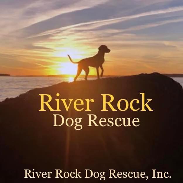 River Rock Dog Rescue | Lumpkin GA