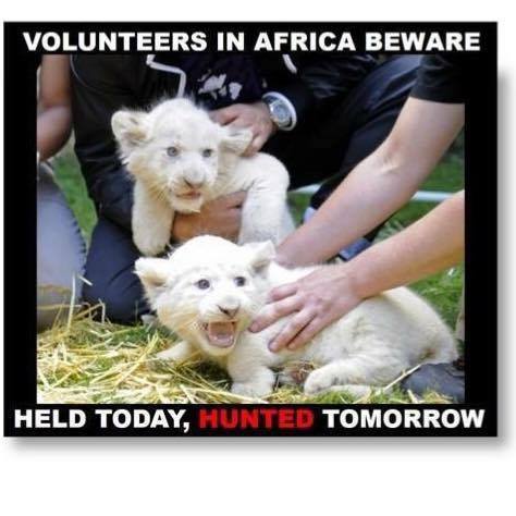 Fake Conservation Pages