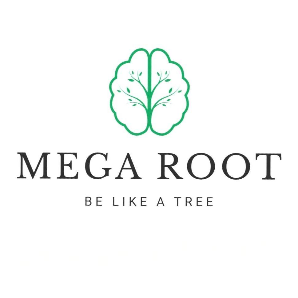 Mega Root LLC / Мега Рүүт ХХК | Ulaanbaatar