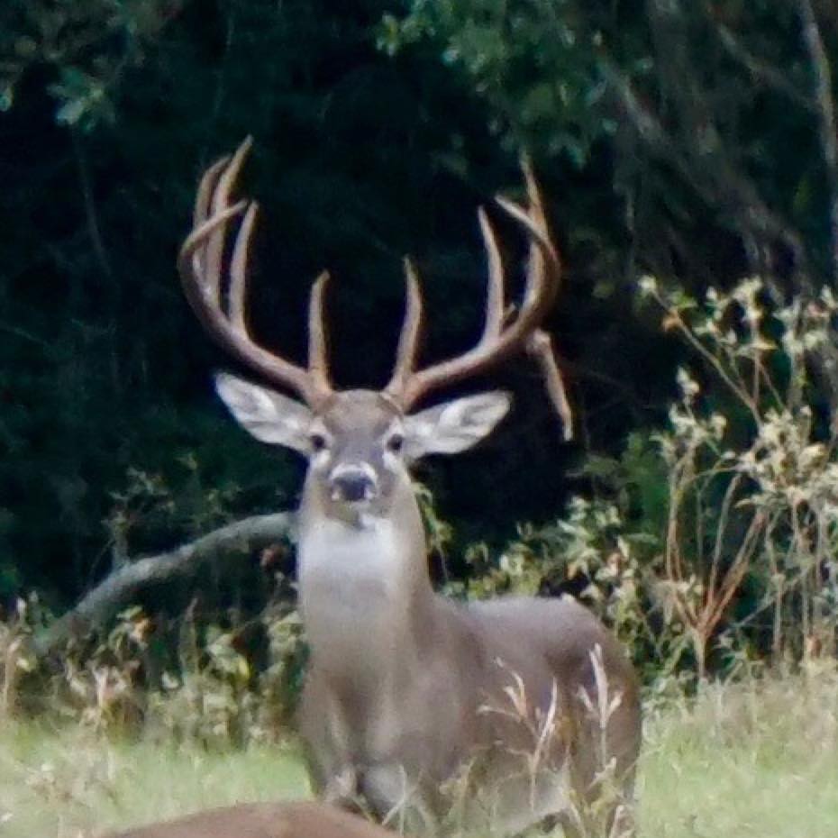 Twisted Oaks Ranch | Hallettsville TX