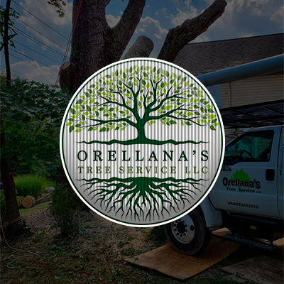 Orellana Tree Services Llc | Middle River MD