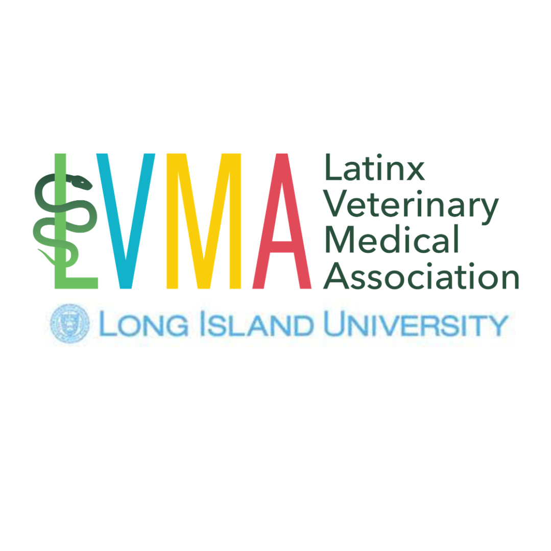 LVMA at Long Island University
