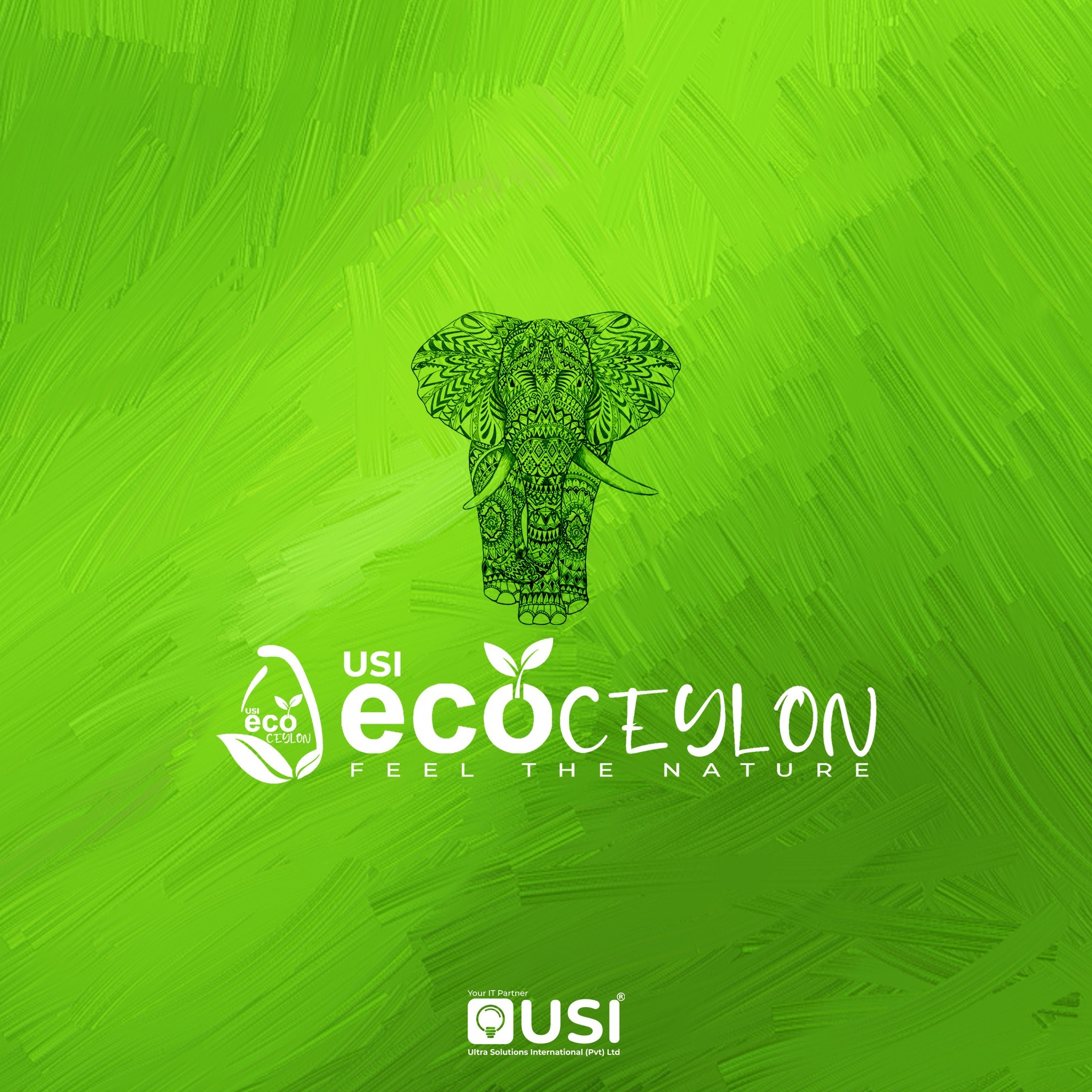 USI - USI Eco Ceylon (Pvt) Ltd is a reputed Tea, Dehydrated Fruit, and ...