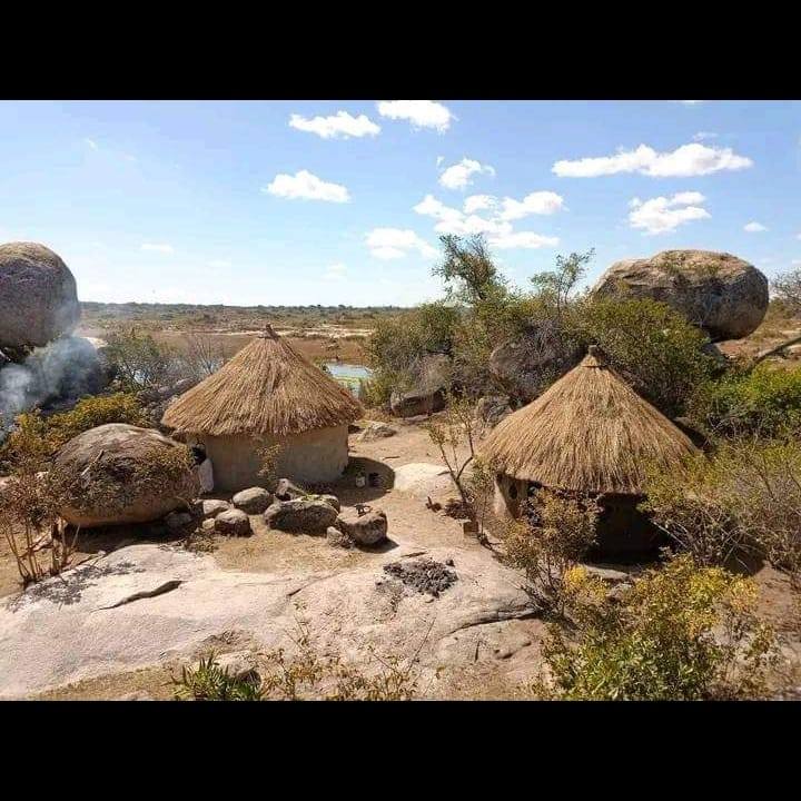 Hlathi CLAN | Uitenhage