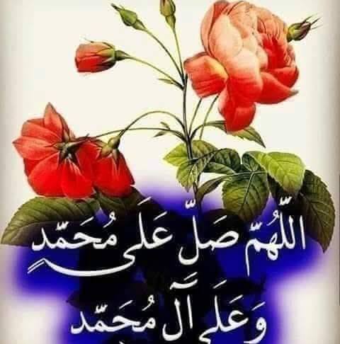 تم توفير ثقالات الدوالي بعدة احجام 👌 | كل شيء بنص دينار