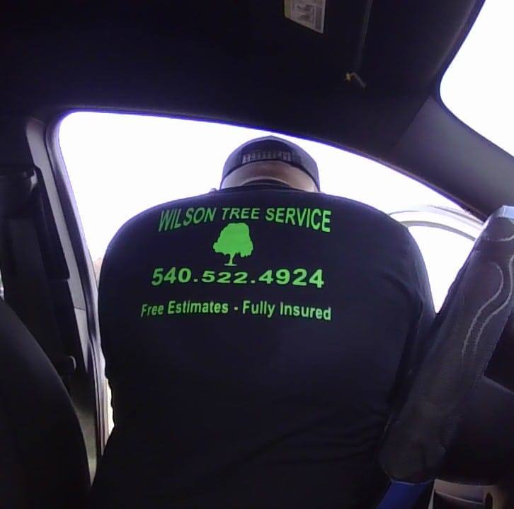 Wilson Tree Service