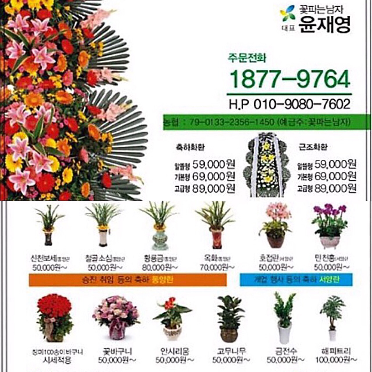 꽃파는남자 - #전국총알배송#꽃파는남자#꽃남#좋아요# #전국꽃배달#각종행사#경조사#화환#개업#승진#취임#취업#서양난#동양난#꽃 ...