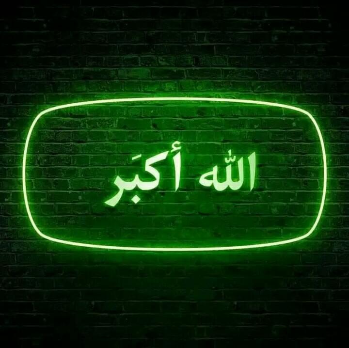 T A L I B News طا؛لب نيوز