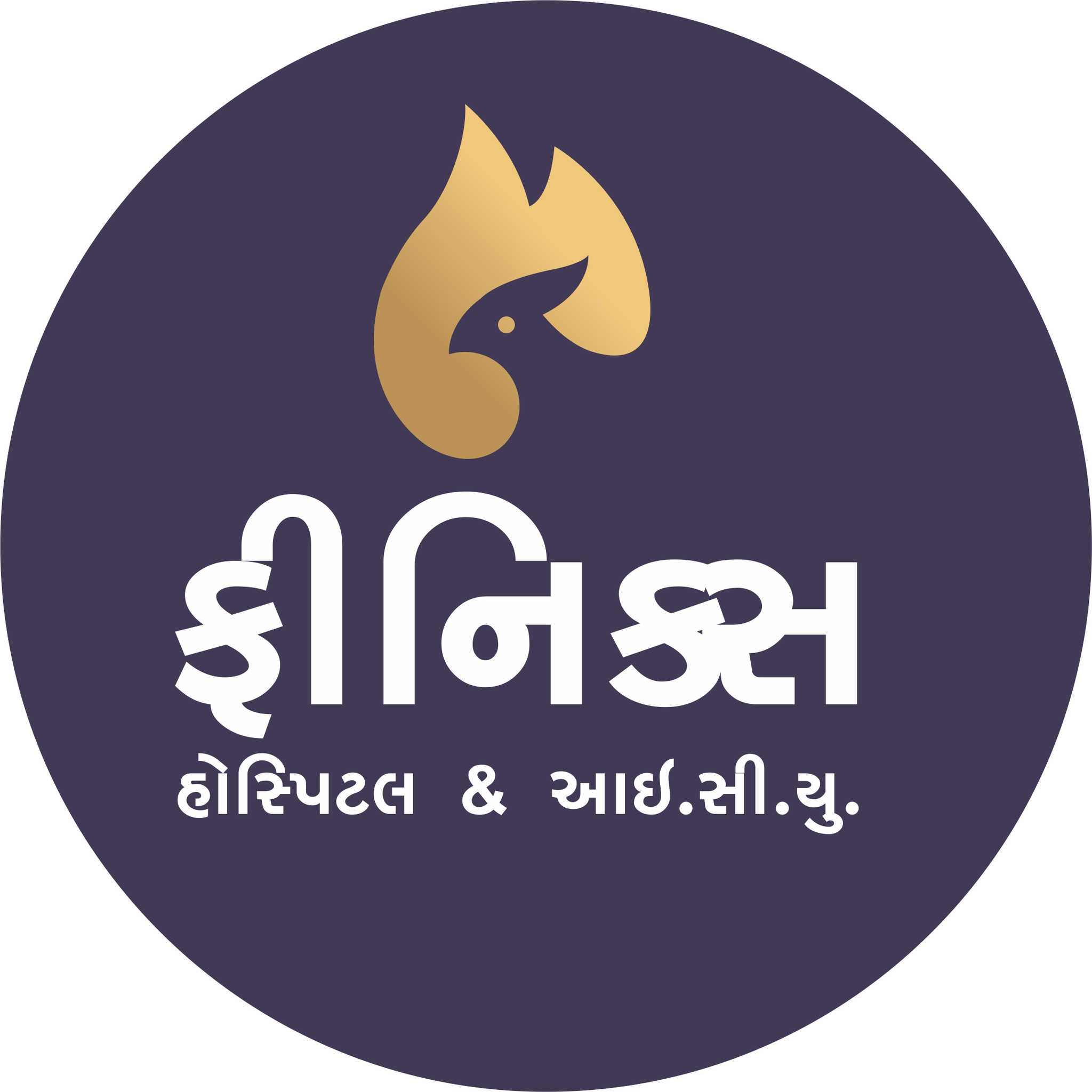 Phoenix Hospital & ICU | Rajkot