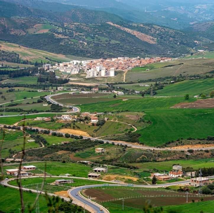 bouchetata-mahmoud-m-dia-news