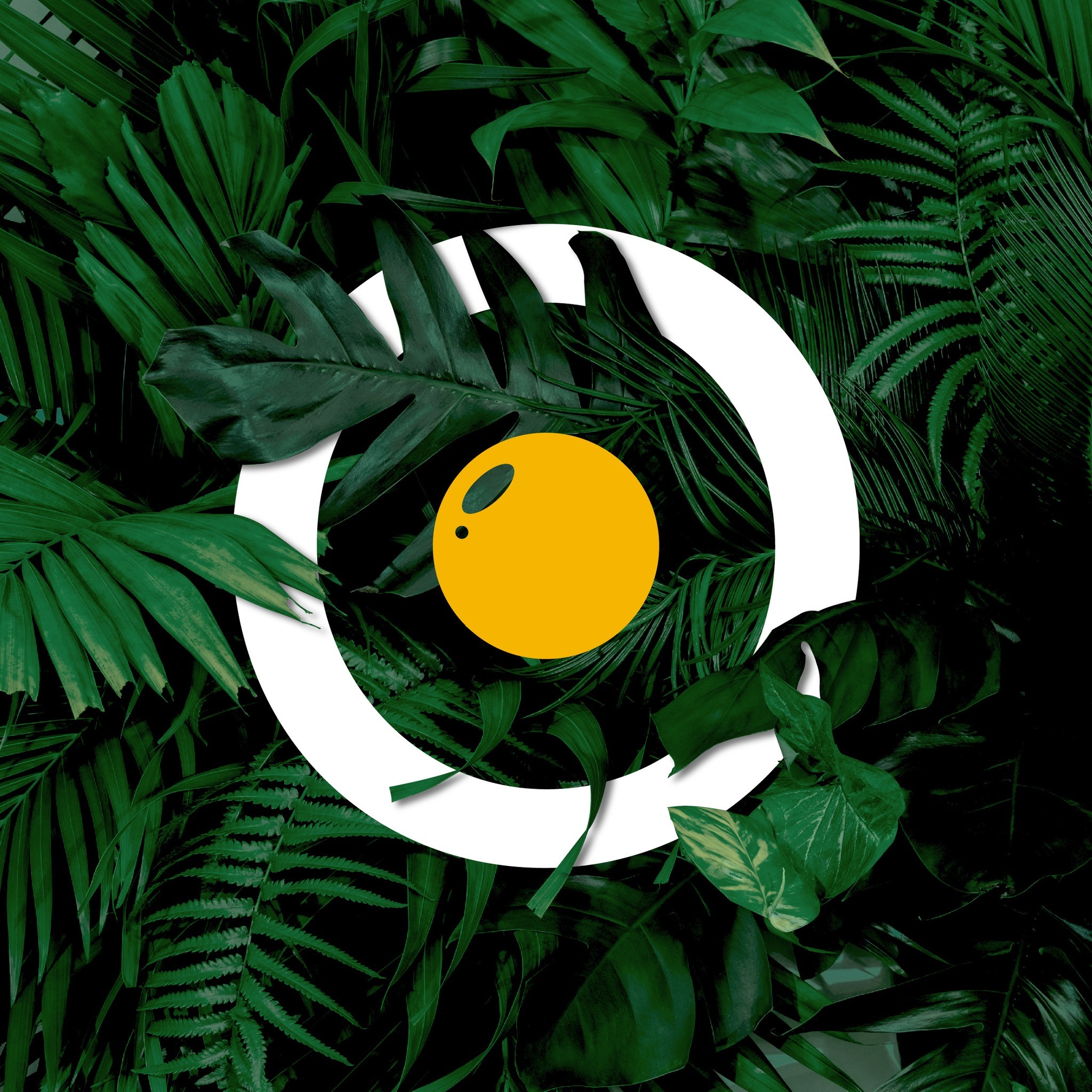 Ovosodo Restaurant & Cocktail Bar - 𝘓𝘰𝘰𝘬 𝘶𝘱 𝘵𝘰 𝘵𝘩𝘦 𝘴𝘬𝘺 Vedrai la sua ...