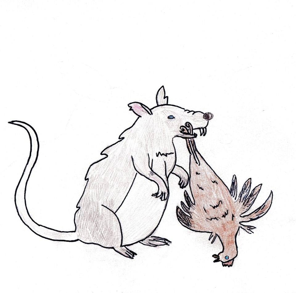 Flat Rats | Kodiak AK