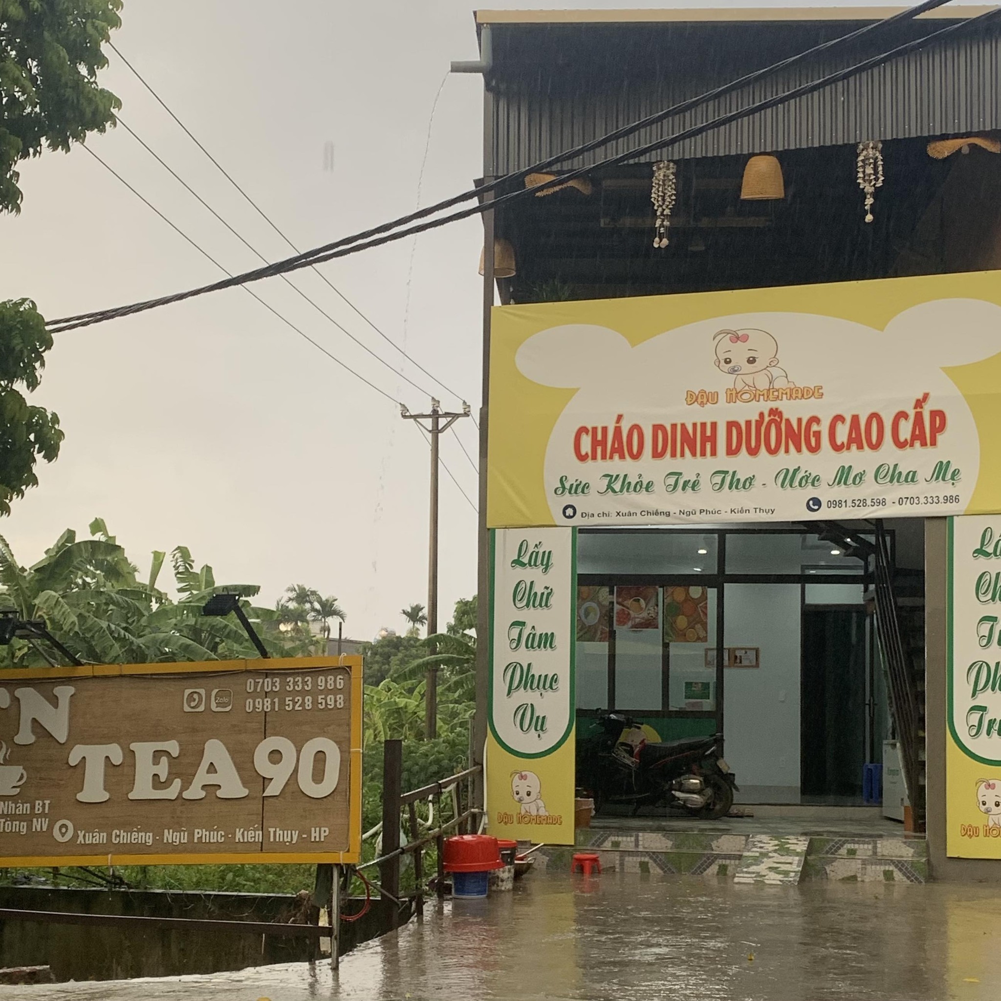 TN TEA 90 | Hai Phong