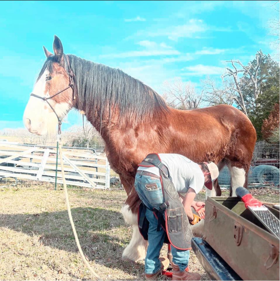 Triple Four Ranch & Farrier Service