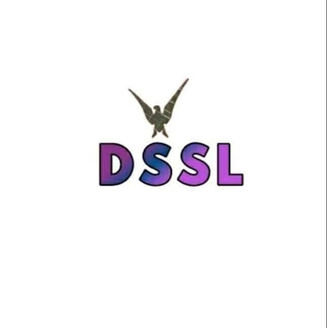 Dssl group