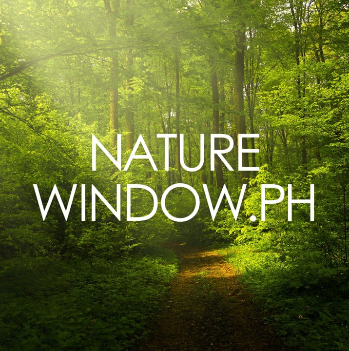 Nature Window.ph