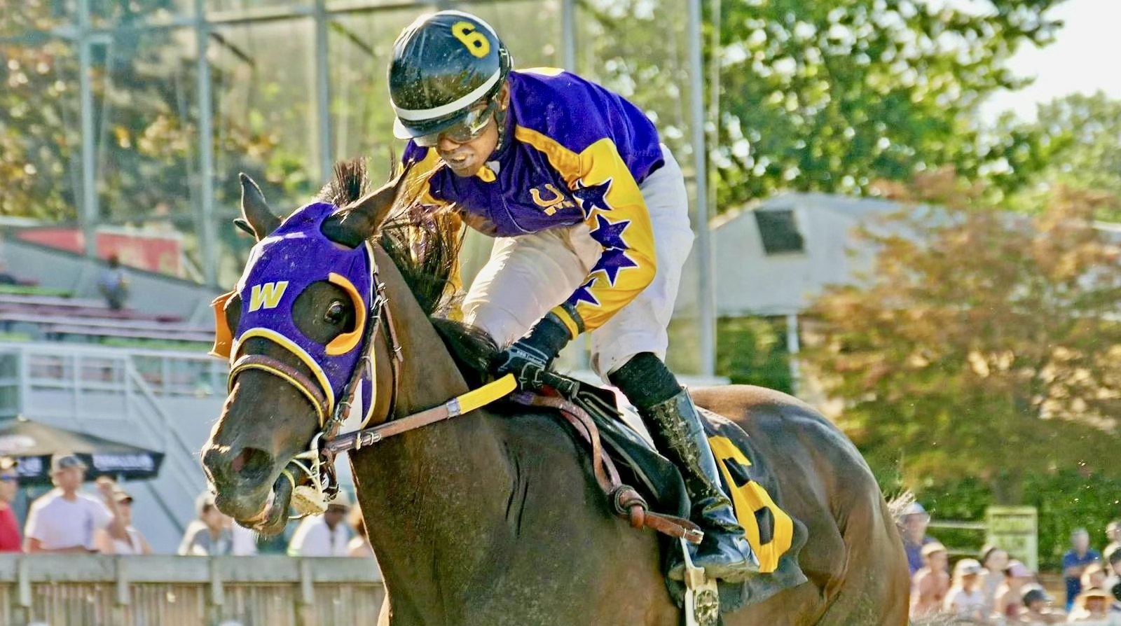 Wyn Racing Stables