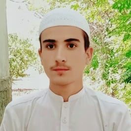 Safiullah official