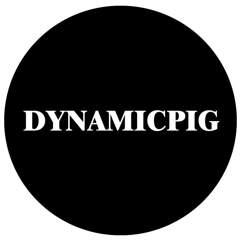 Dynamicpig