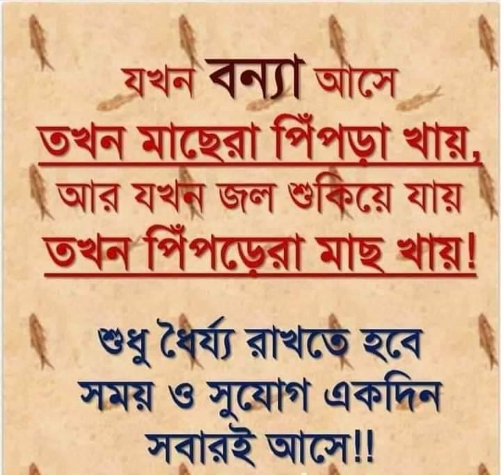 Md Ronju Sarkar