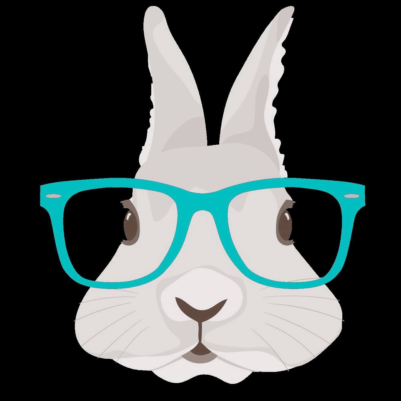 PNW Pet Rabbit Rescue added a new... - PNW Pet Rabbit Rescue