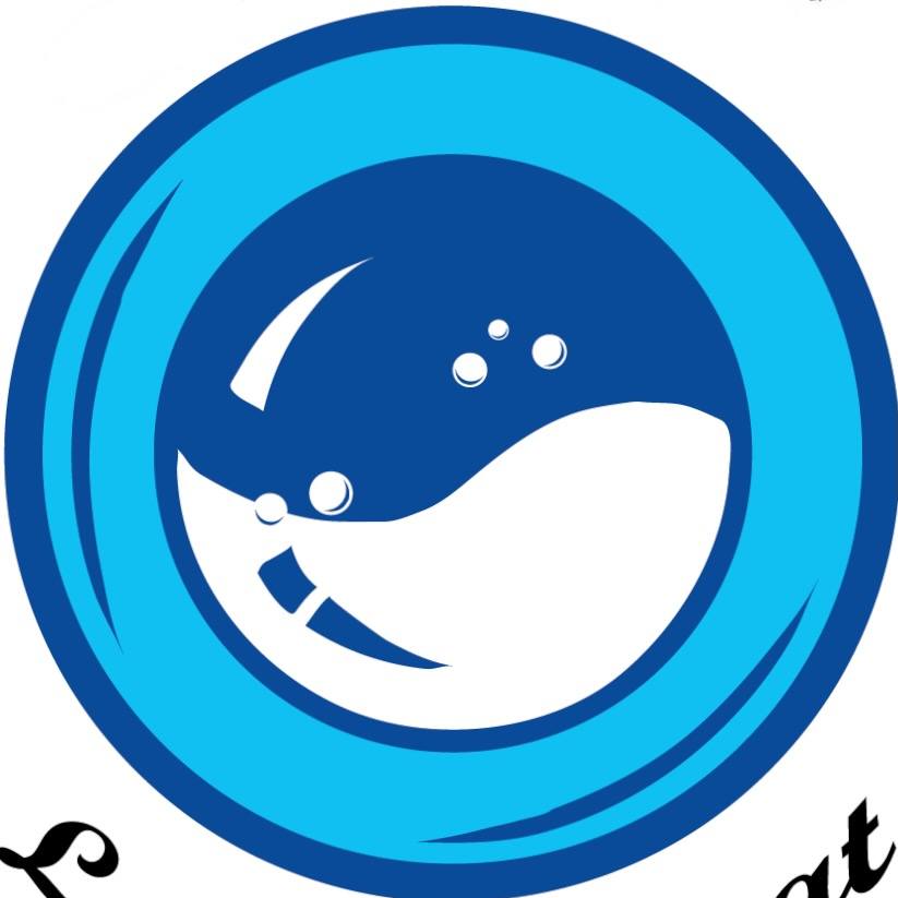 Egrets Laundromat | Tampa FL