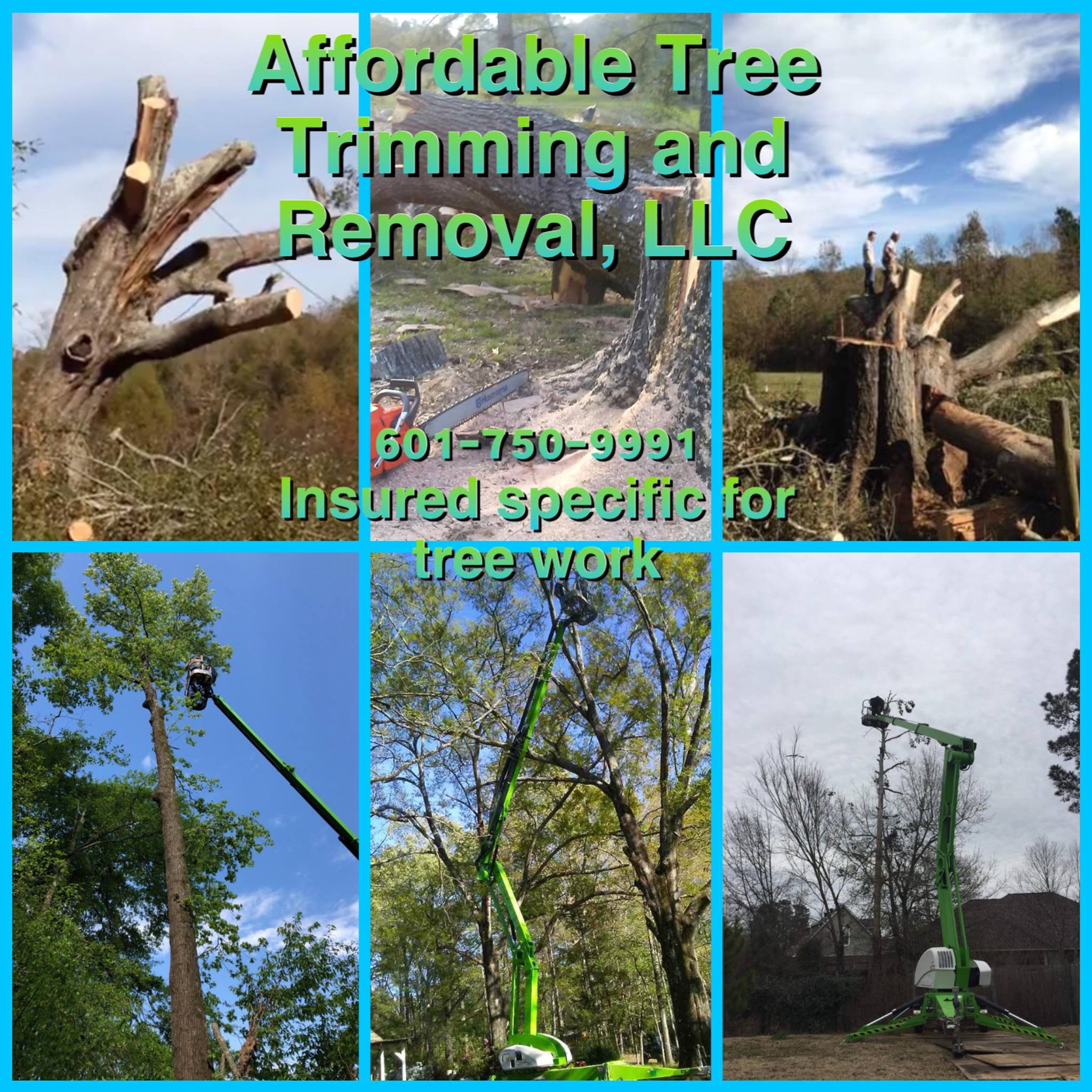 Affordable Tree Trimming and Removal, LLC