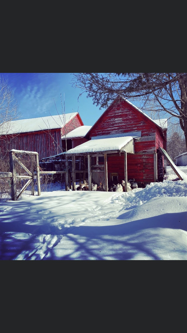 Summit Ridge Farm | Mayfield NY