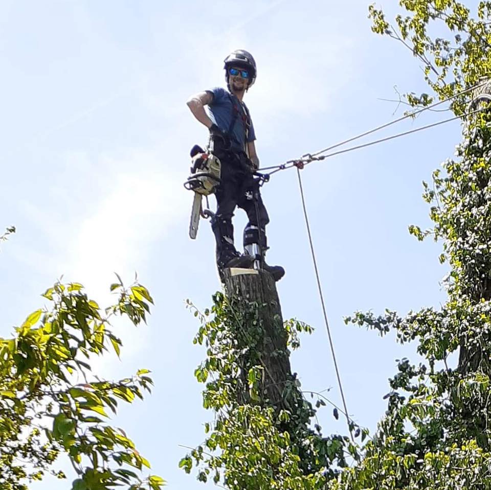 Clark Tree Care LLC