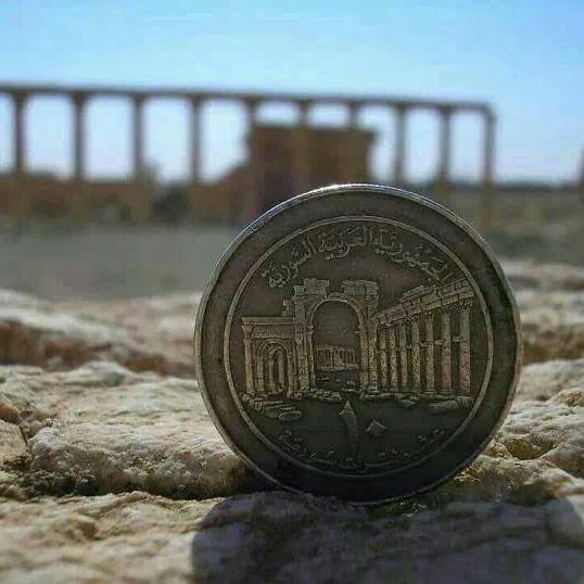 سوري مأفل