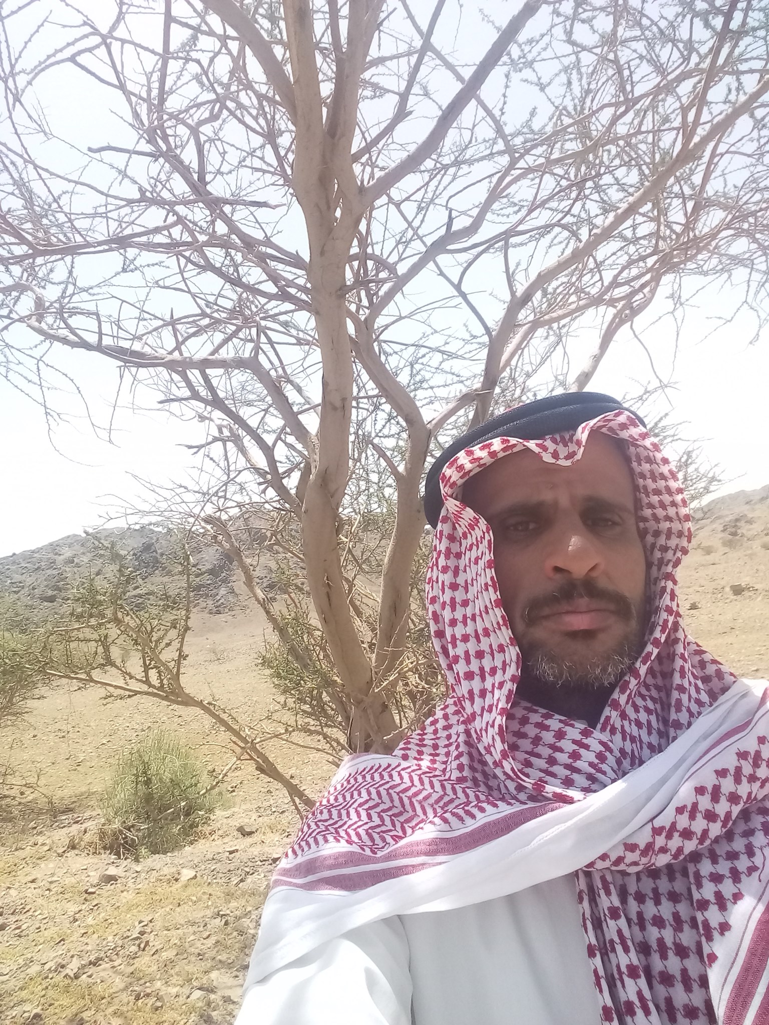 اح اه اح اح اه ياقلبي
