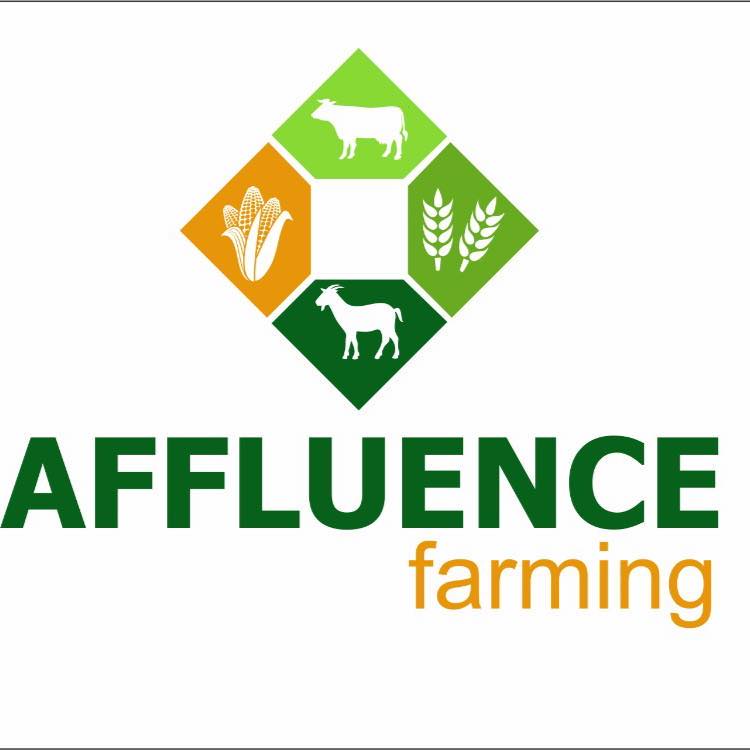 Affluence Farming | Harare