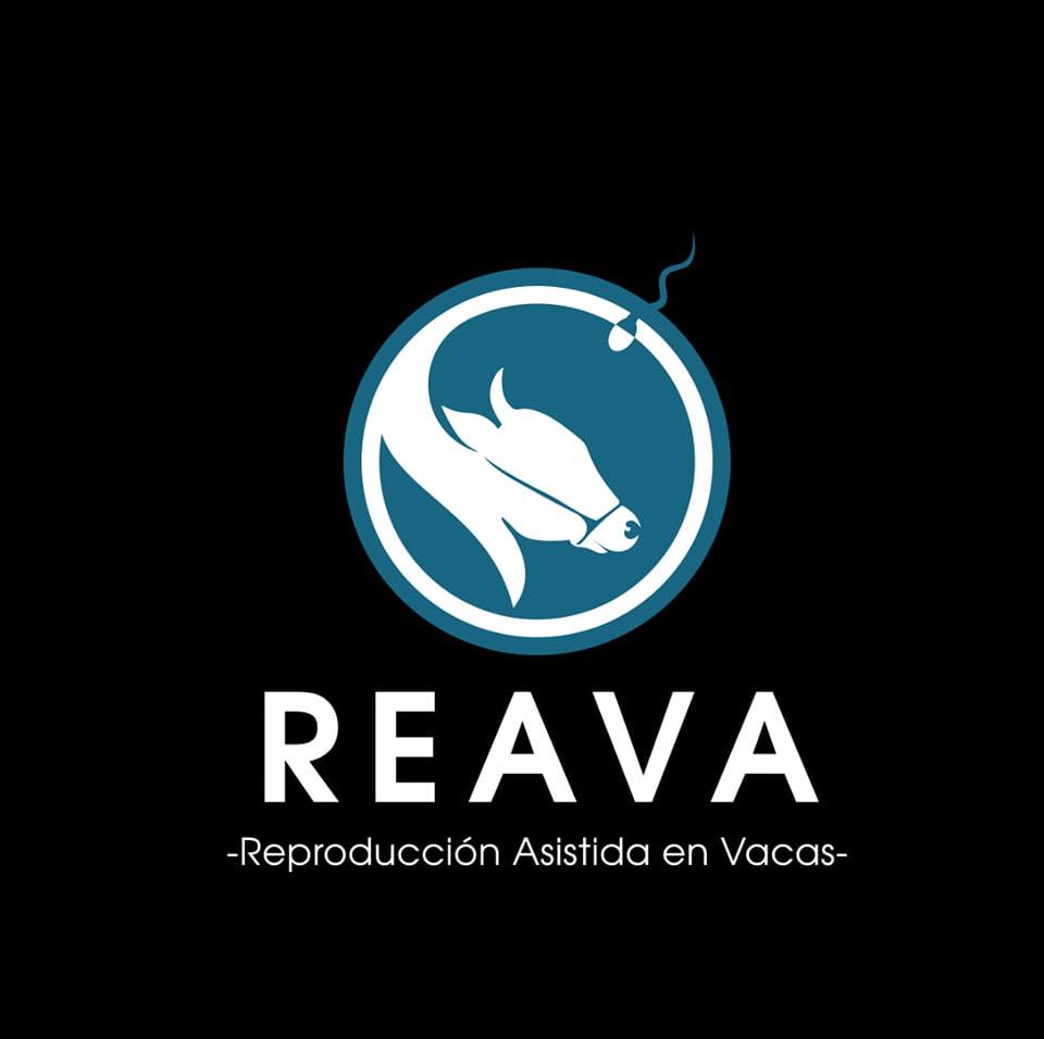REAVA