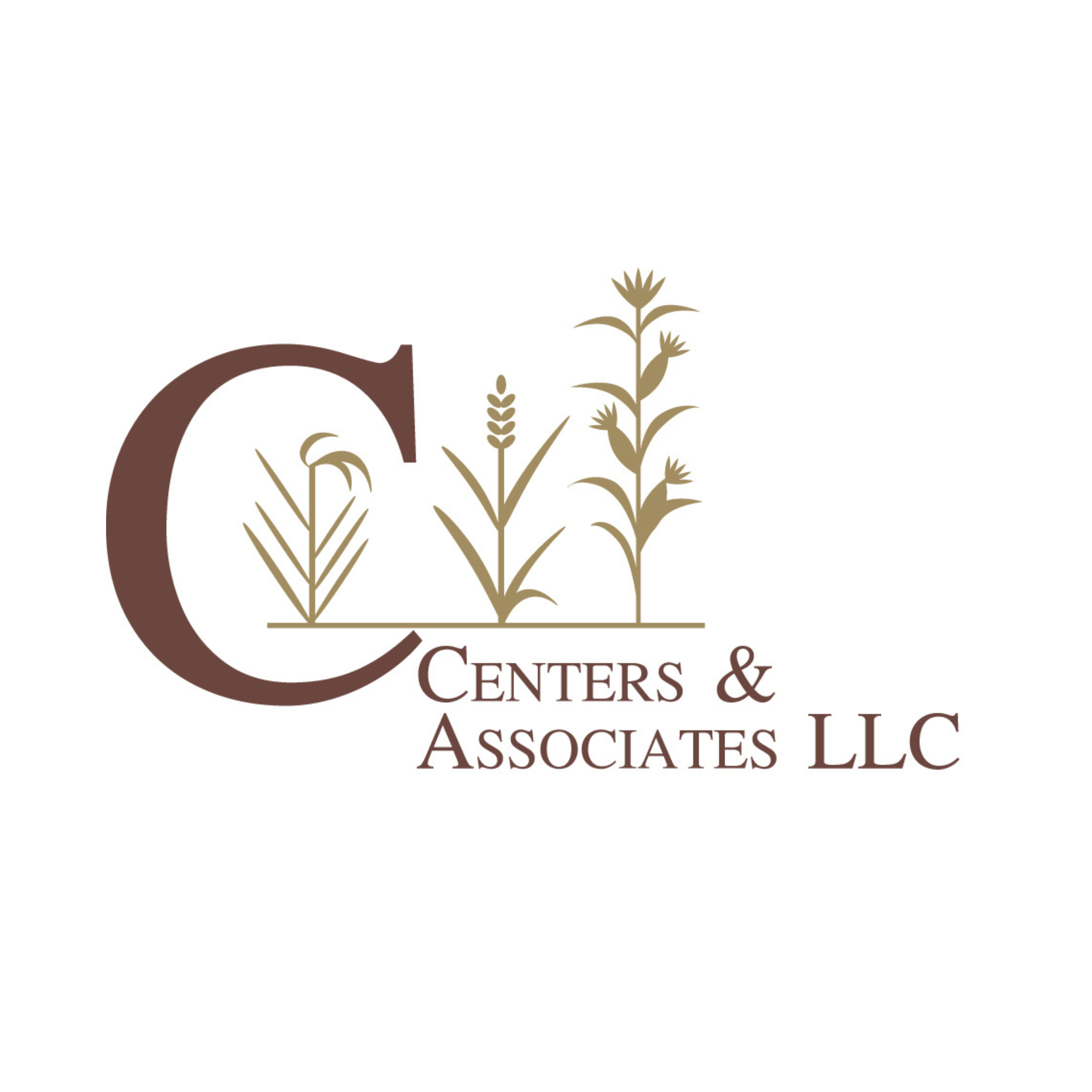 Centers & Associates, LLC | Winters CA