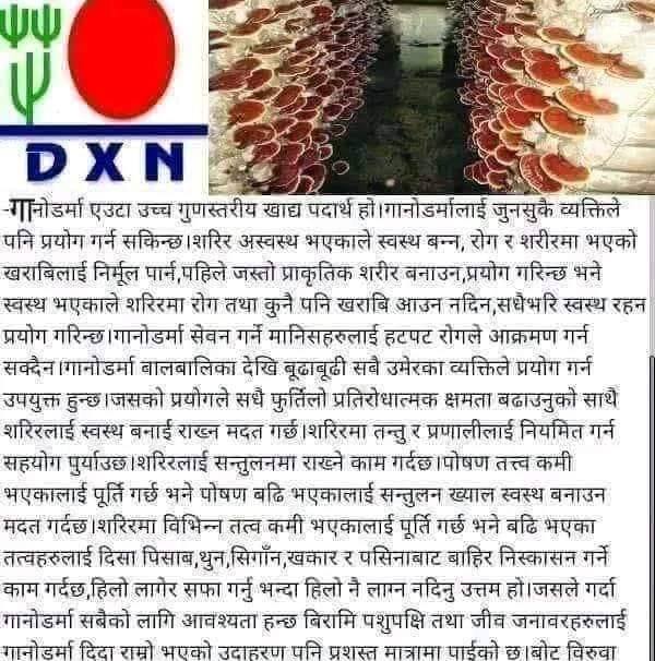DXN Ganoderma Lucidum